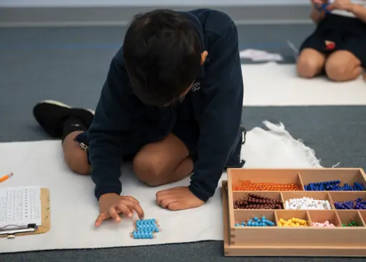 NEW Children's House Program Icon