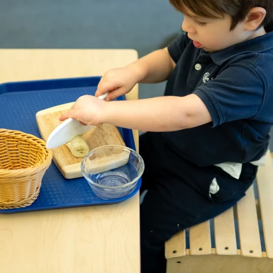 Toddler House Curriculum